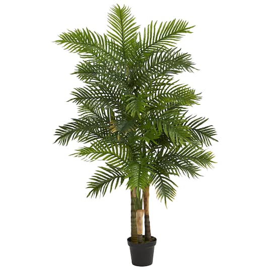 6ft. Potted Areca Palm Tree